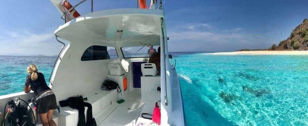 Eco Dive Resort Alycastre Maumere Εξωτερικό φωτογραφία
